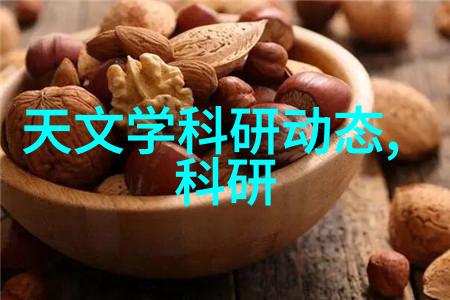 工作总结奋斗与成长的足迹