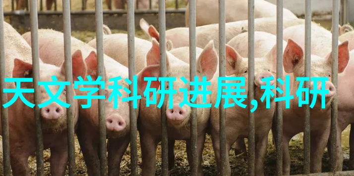丝网波纹填料专业制造商高品质医疗美容材料供应商