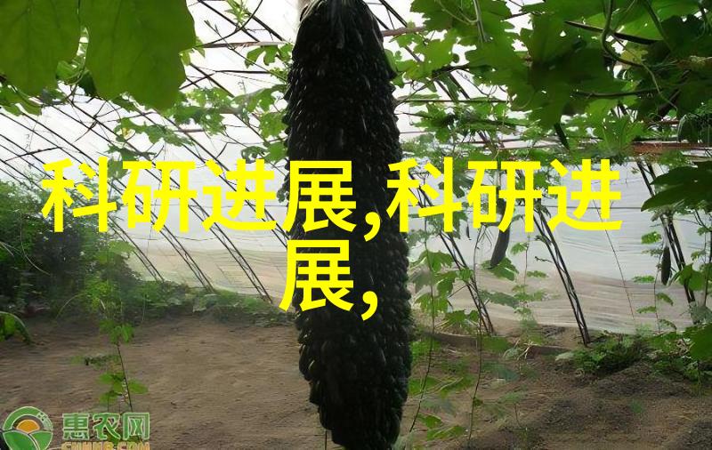 我该如何确定我的个人风格来指导我的厨房局部装修项目