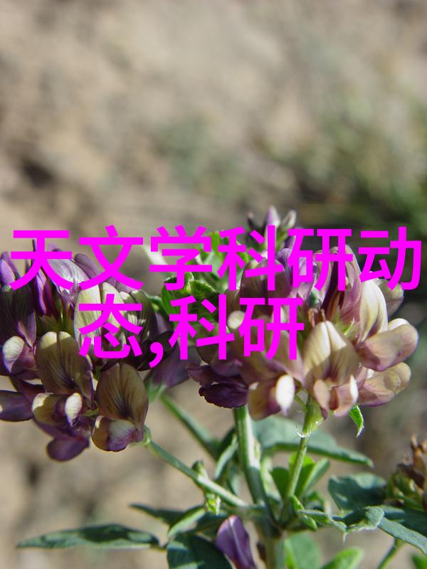 四轮电动车配件大全图从头到尾装点你的电动小伙伴