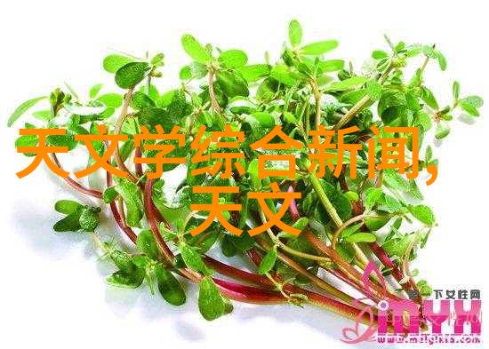 使用高压蒸汽灭菌锅烹饪可以保存营养成分吗
