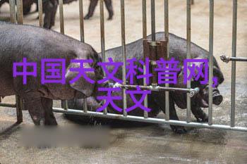 神秘管道化工领域的神秘冒险