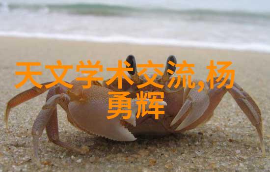 清新生活智能除尘新宠