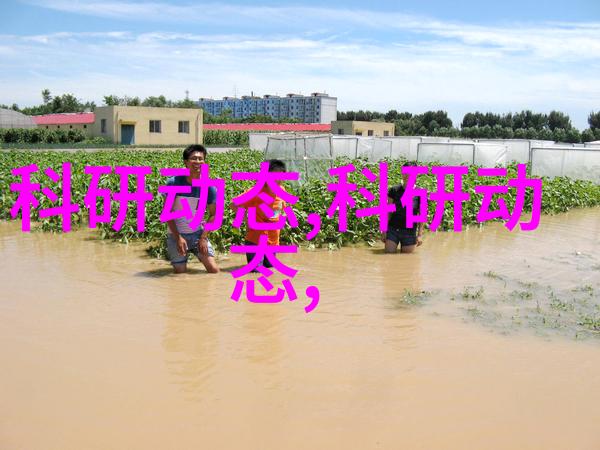 裹包机的使用技巧让您的美食制作更轻松