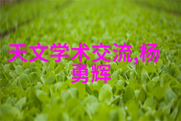 化学工厂的钢铁心脏设备清单之谜