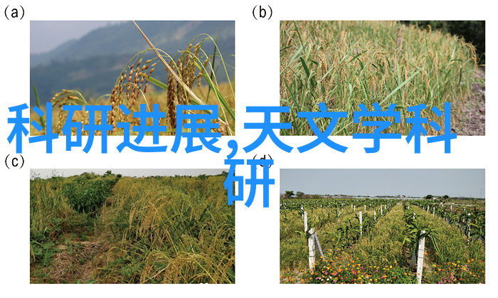 油水分离器操作技巧高效分离油水混合物的方法与步骤