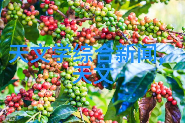 药品直接包装机械-实现高效精确药品包装的关键技术