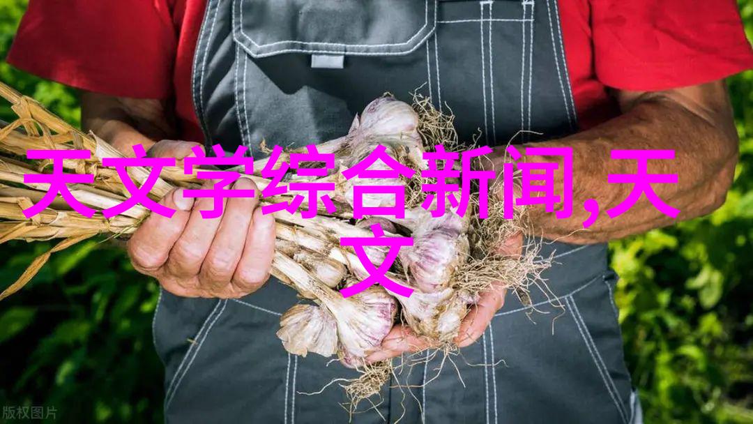 温馨卧室的壁纸选择与装修效果图解析