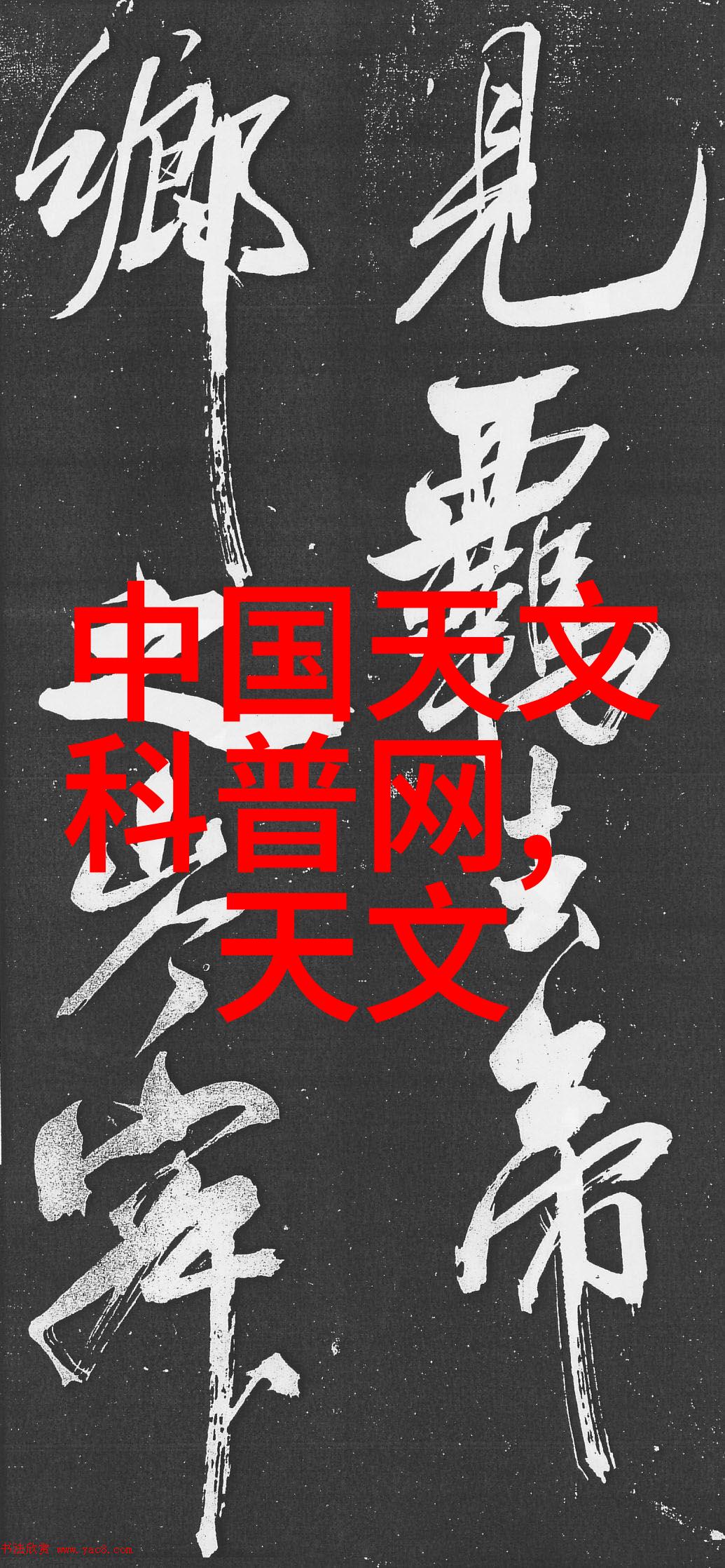餐饮专用油水分离器我是如何用这台神器让餐厅油水分离更高效的