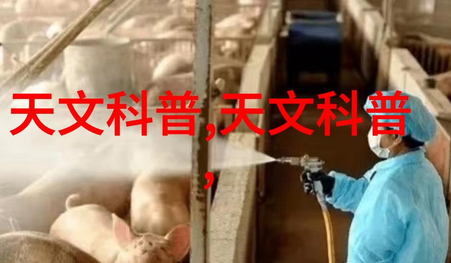 黑鲨游戏手机你真行