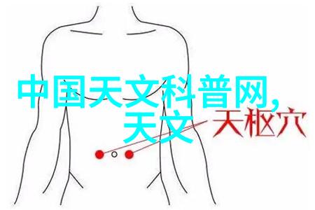 新技术新物种高效丝网规整填料型号如何革新传统工艺