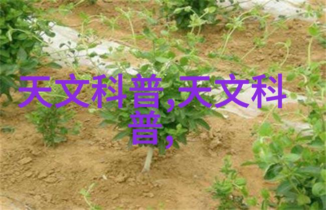 美国人免费获得XXXXXL19的秘密之道