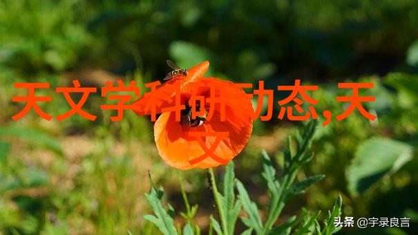中国资源卫星应用中心招聘开启新征程的智慧之门吗