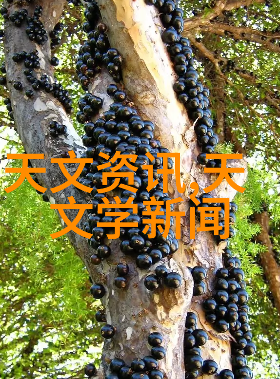 在选择和合作任何一个商用的密码应用安全测评机构时我们又该如何保证其不会泄露我们的隐私信息