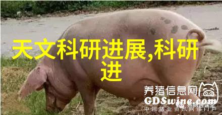 家居美学与实用性并重房屋装修细节的精髓探索