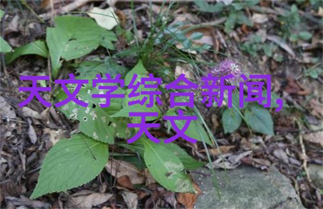 化工生产环境的温度和湿度监测关键精确测量设备的重要性