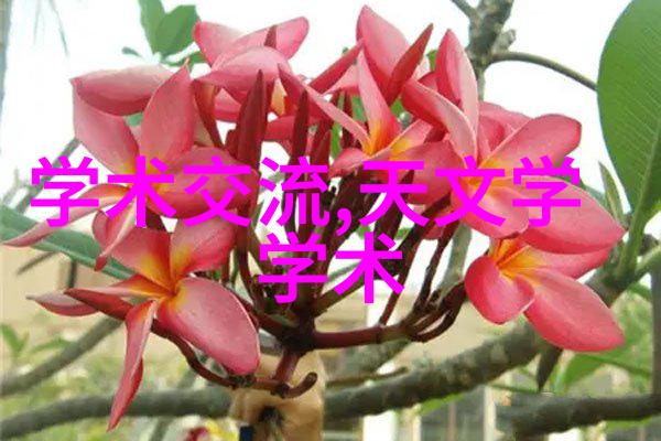 美丽快捷键智能化资讯带你在自然中正确刷牙