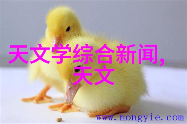 皮恩斯坦格Pines Tang的浪漫音乐会