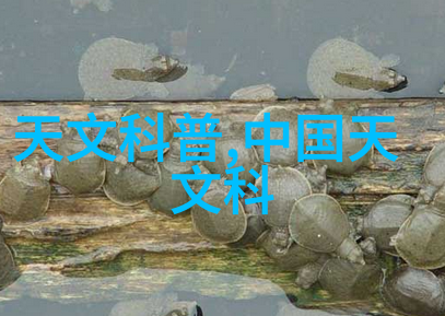 中国国产新冠特效药研发背后的科学秘密有哪些