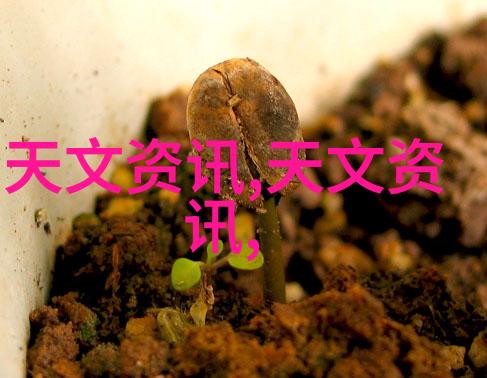 万通控股股票未来走势预测有多可靠