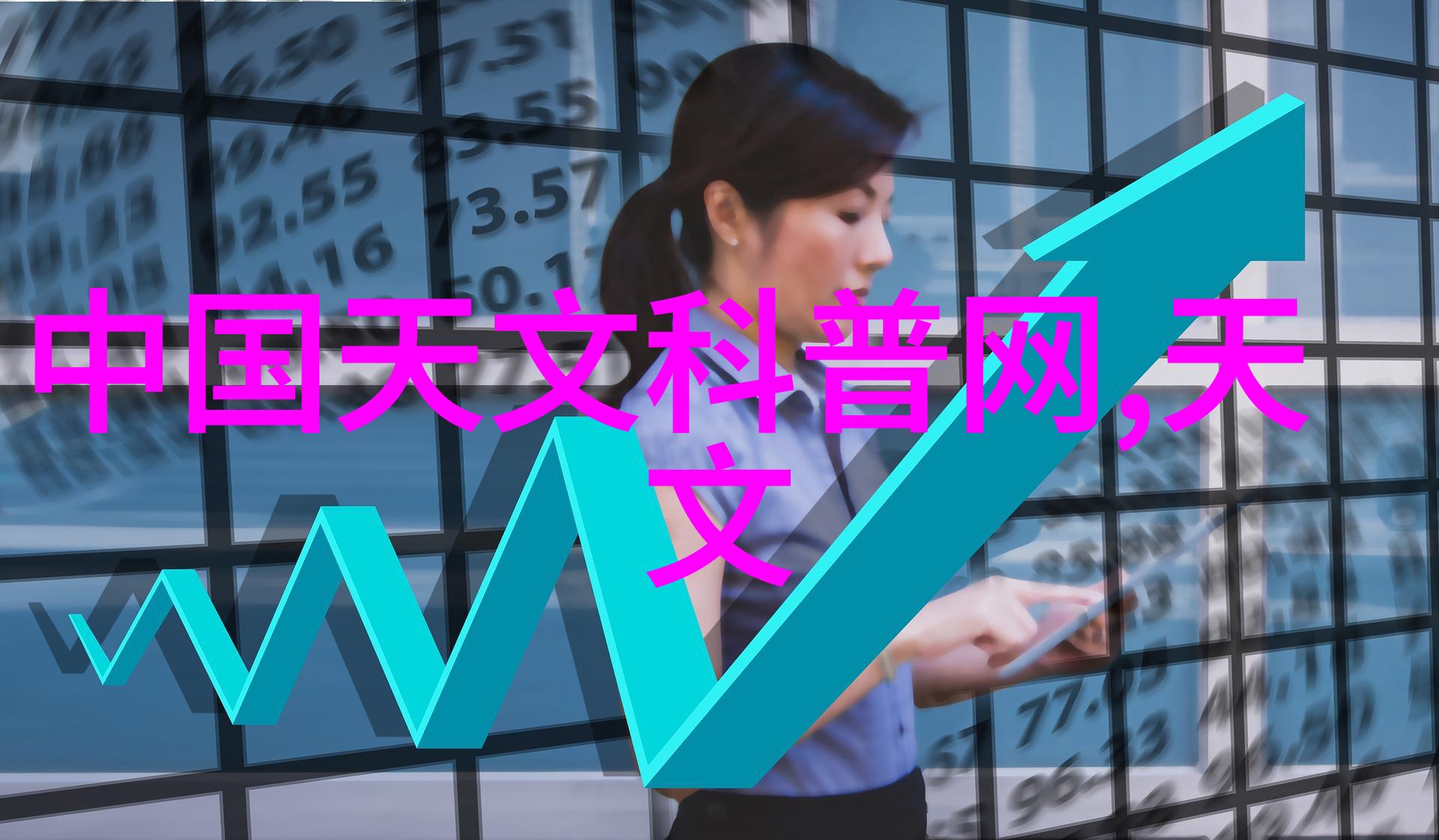 可行性分析报告编制指南理论框架与实证应用