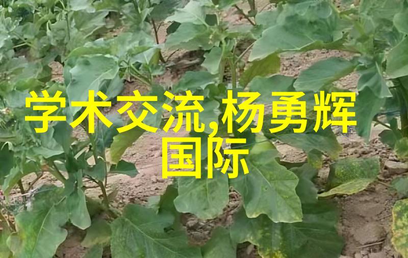 探究最便宜的工业风装修策略节约性与美学平衡的实证研究
