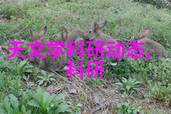 废气净化设备安装与维护服务高效环保解决方案