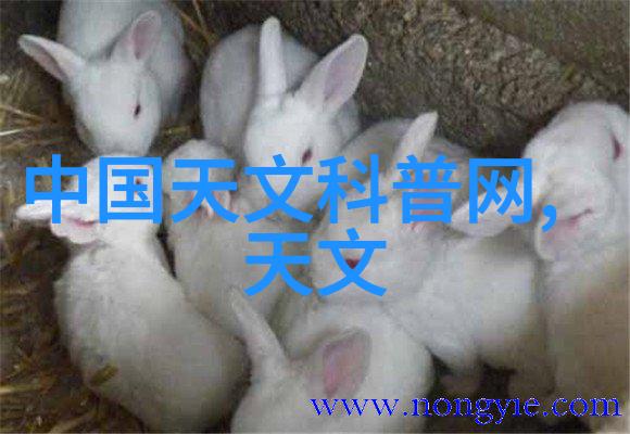 对于大规模制造业来说投资于工业用天然气燃烧系统值不值得考虑呢