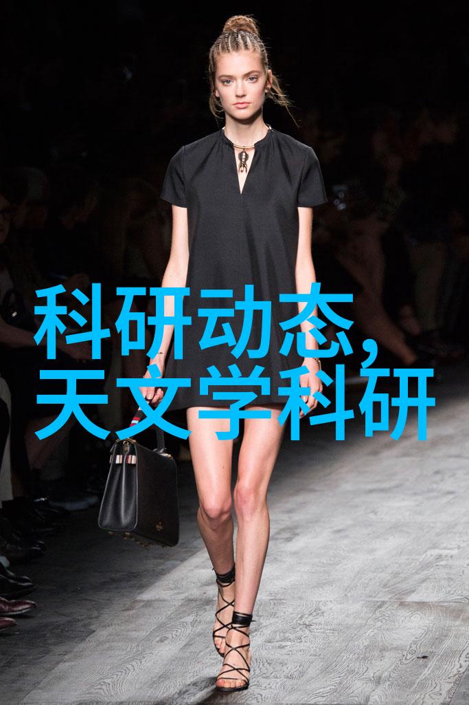 新闻摄影技巧精髓深入剖析新闻摄影的基本要素和高级技巧