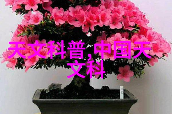 小户型装修60平米装修效果图 - 巧用空间创意小户型60平米精致生活秀