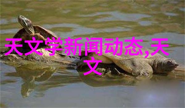 气力输送设备俺的这篇文章就叫一路顺风我是如何让气力设备帮我省心又省电的