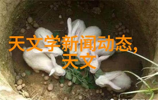 波浪型金屬網對建築結構強度影響之研究與應用