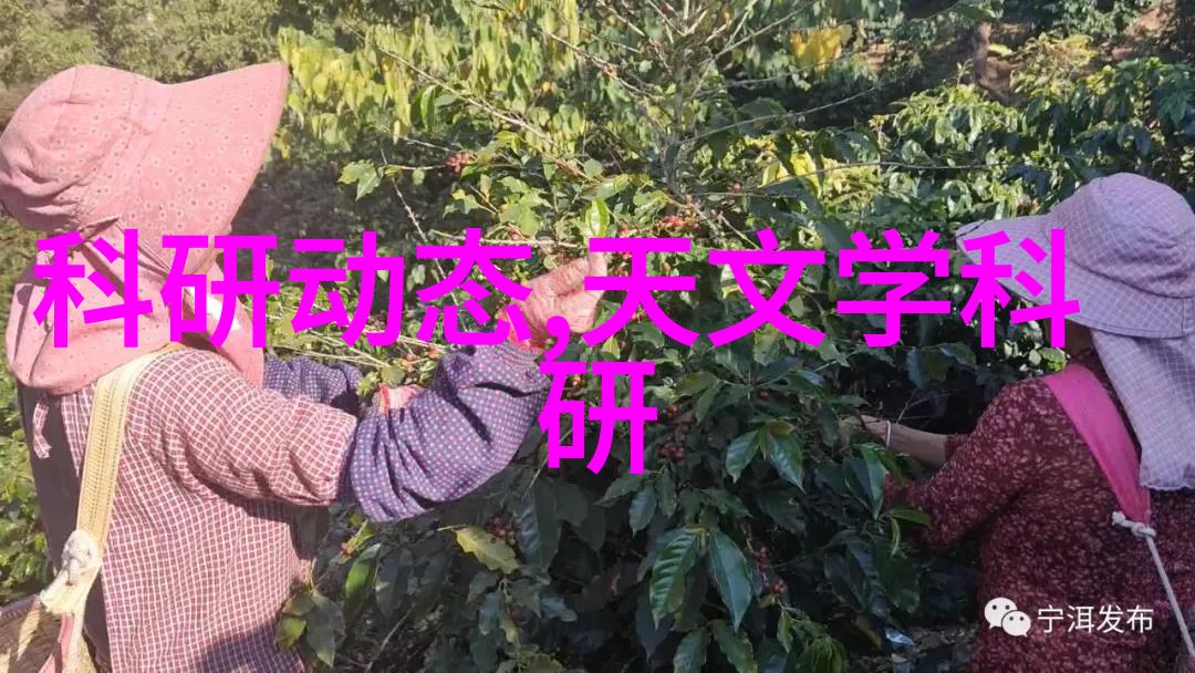 实验室烘干箱高效科学设备
