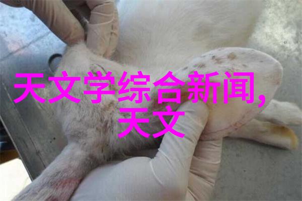 不锈钢矩鞍环填料规范解读与应用实例