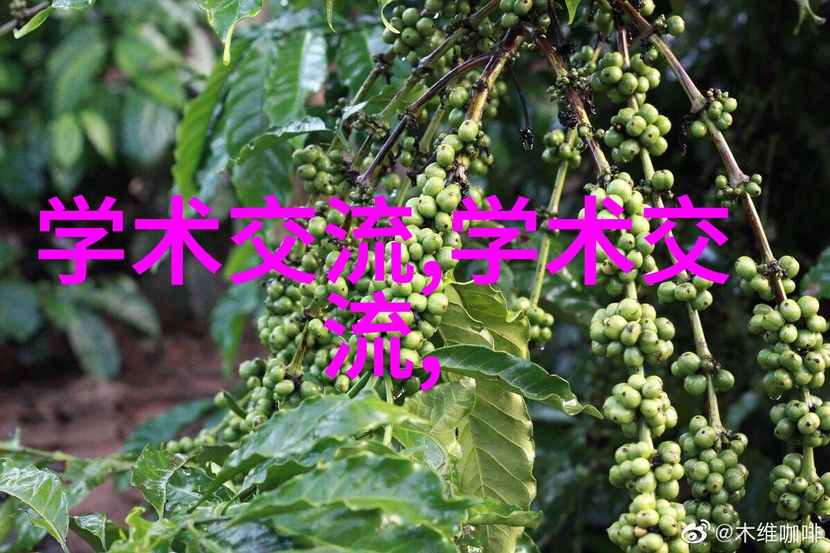 5000平方米厂房全套水电安装报价专业水电工程定制解决方案