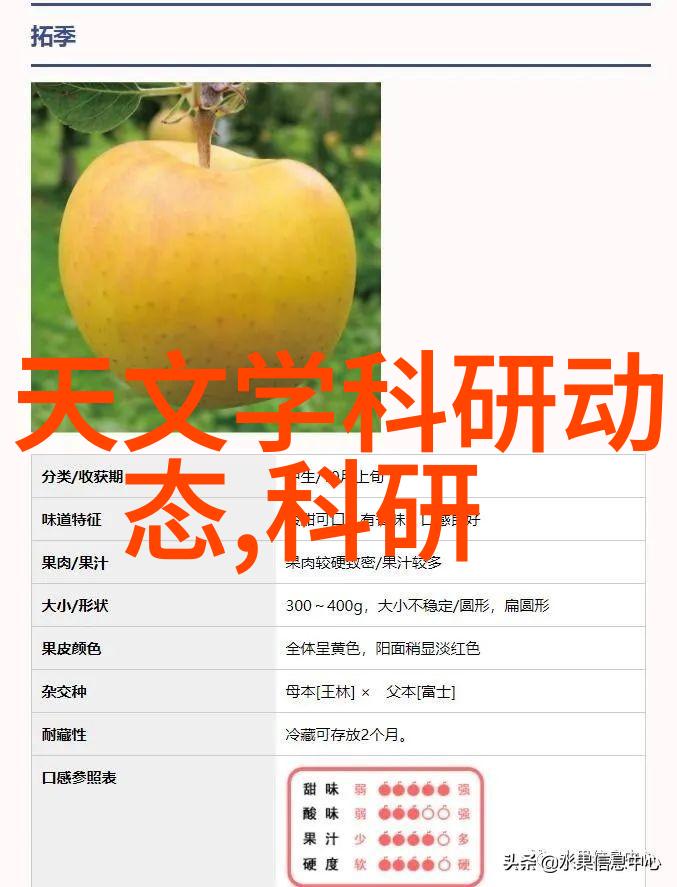 现代简约风格的家居美学楼房装修效果图解析