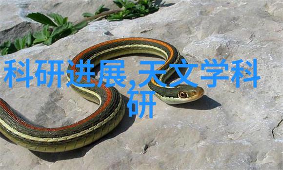 新乡职业技术学院梦想洗衣海信三筒机七年前就已亮相
