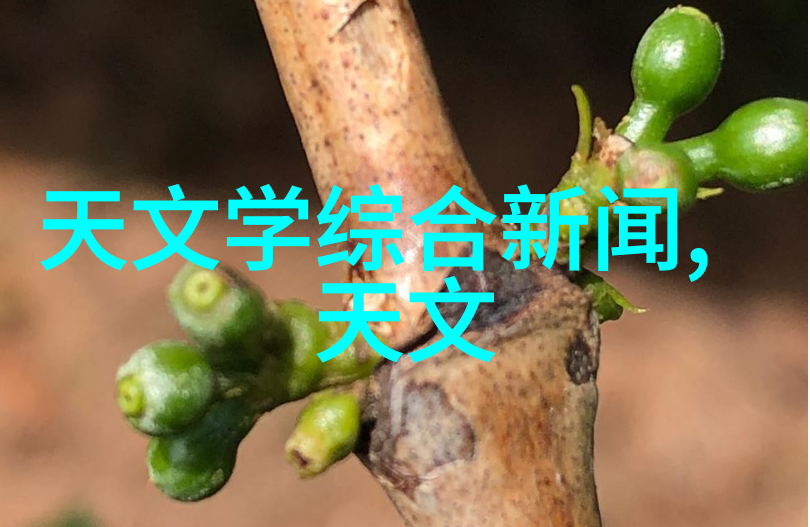 不锈钢规整填料尺寸研究探索其在机械制造中的应用与优化策略