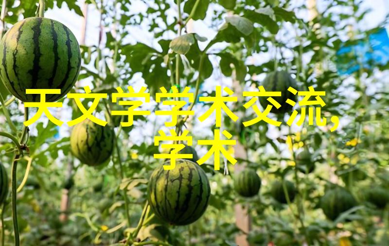 瓷塑填料的秘密世界探索其成分与应用之谜