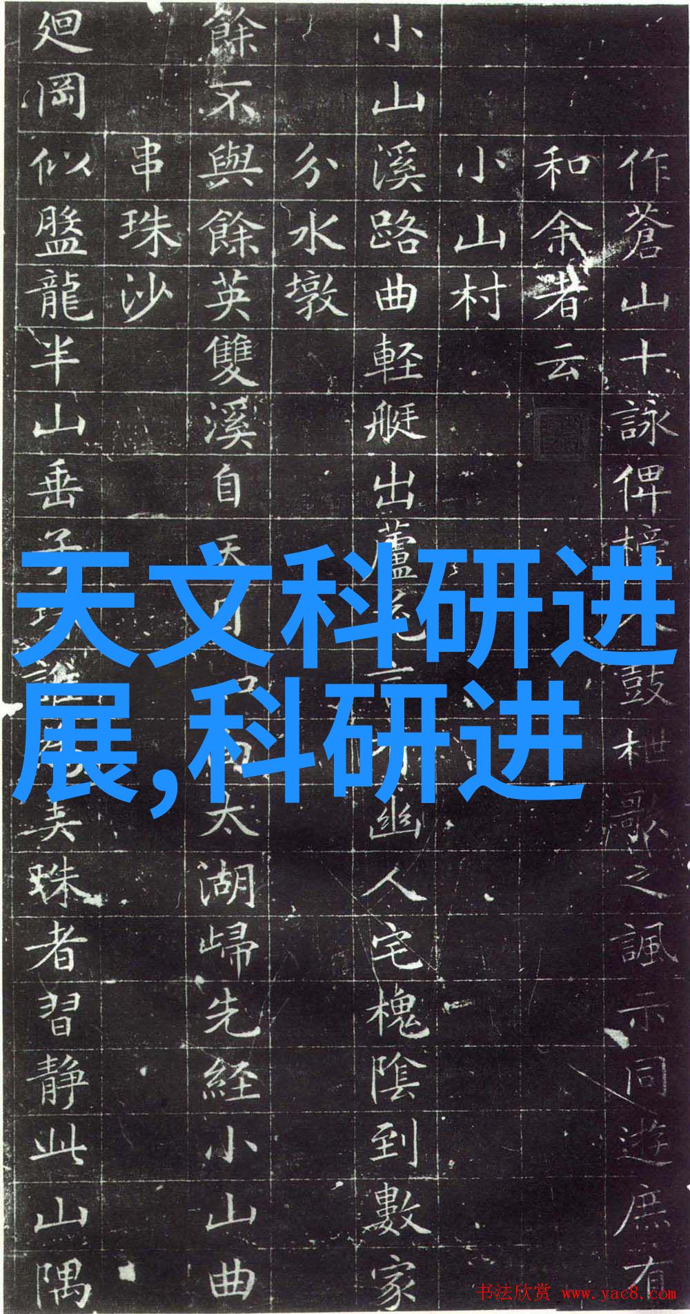 岁岁年年柿柿红秋天的甜蜜守候者