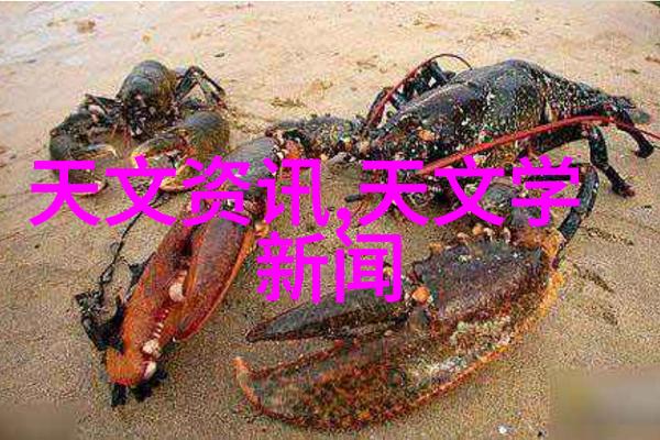 我来告诉你化工产品包括几大类
