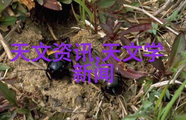 无电视客厅装修效果图如何巧妙融合功能性与美观性
