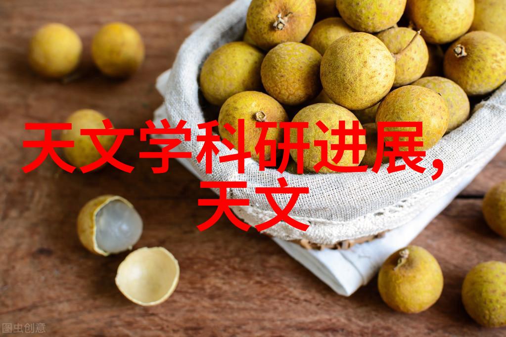 大三元镜头我的摄影之旅从初学者到专业人士的故事