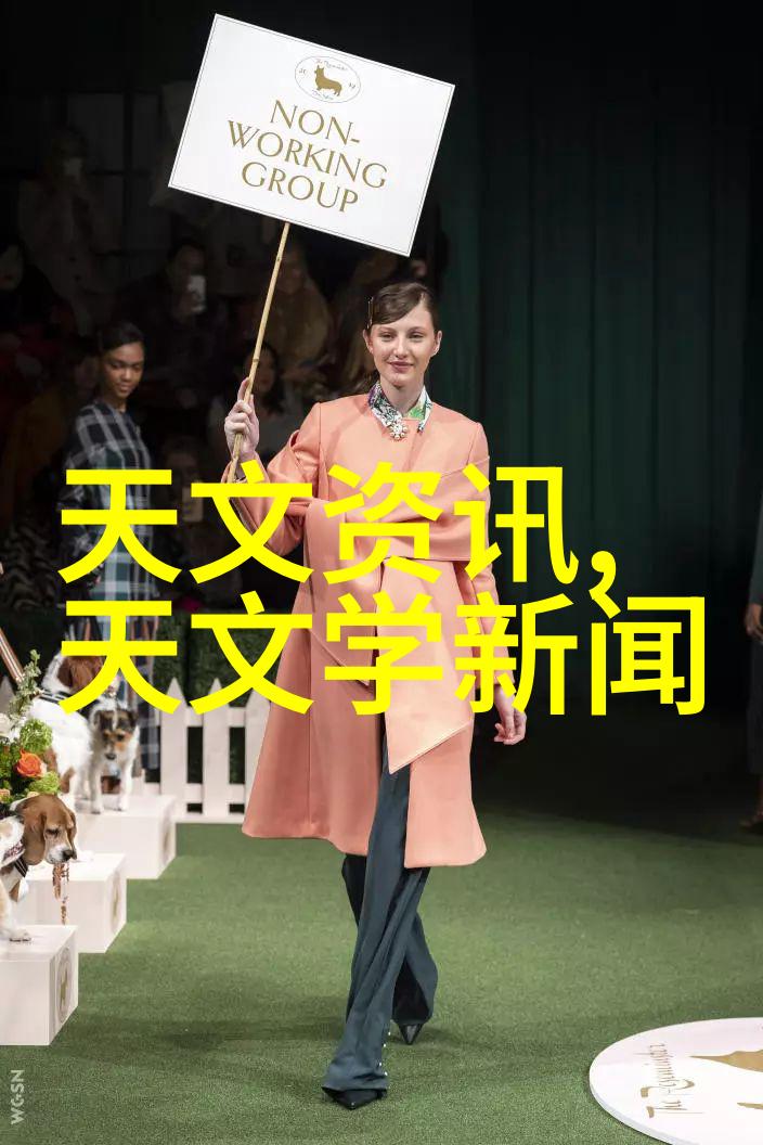 气力输送设备高效能压缩机与泵组合系统