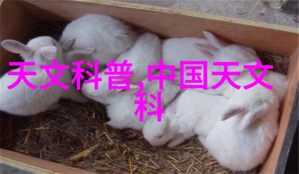 大佬的醉饮日常夜幕下的梦境酒池