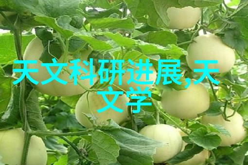 精致居家房间装修设计图的创意与实用之美