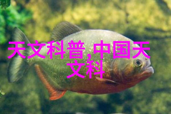膜及膜组件-探究膜技术在水处理中的应用