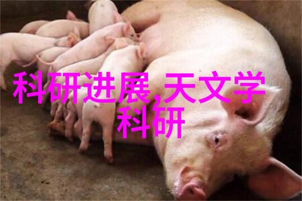 从小型到大型实验室选矿设备选择指南