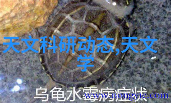 超纯水处理设备公司清洁水源的守护者