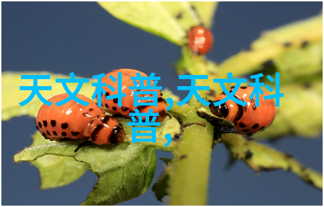 废旧设备处理网绿色循环新时代的生态守护者